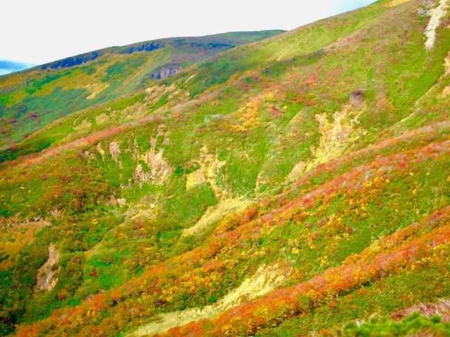 Yamanosho Ξενοδοχείο Yuzawa  Εξωτερικό φωτογραφία